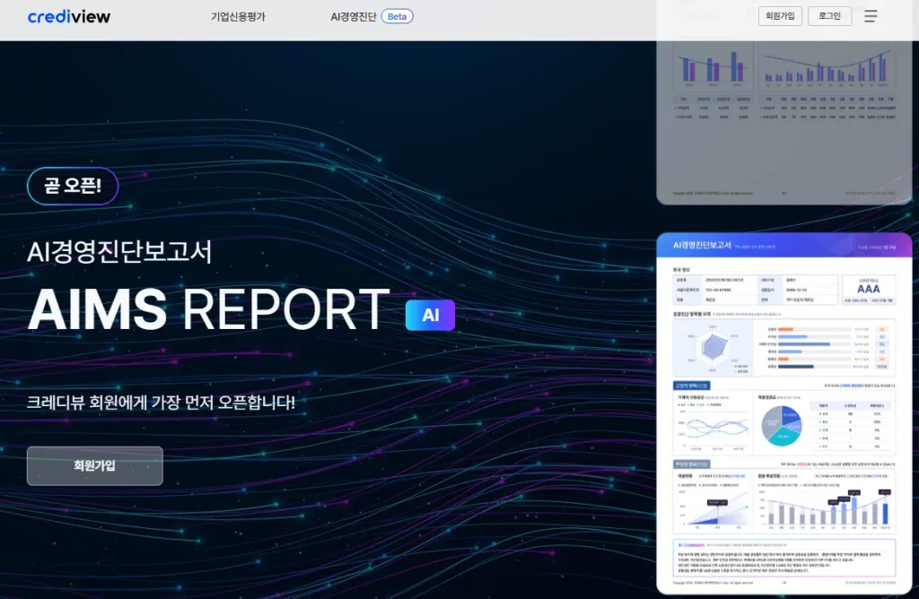 크레디뷰 AI 경영진단